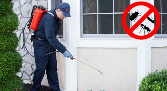 Foça Akrep İlaçlama böcek ilaçlama ve haşere kontrolü — ilaclama-tr.com